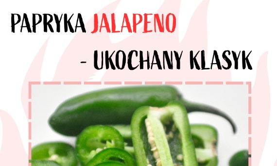 Papryka JALAPENO a CHIPOTLE- co powinieneś wiedzieć? Kompedium wiedzy o papryce.