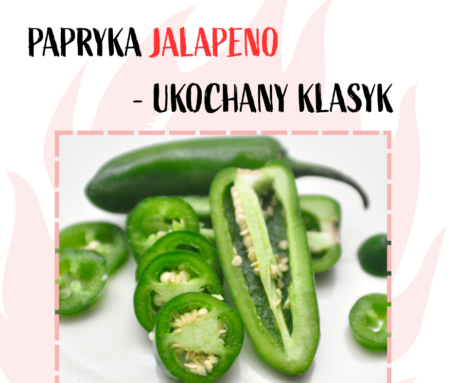 papryka jalapeno klasyczna chili
