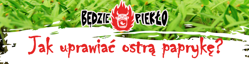 jak uprawiać ostrą paprykę poradnik chili Carolina reaper